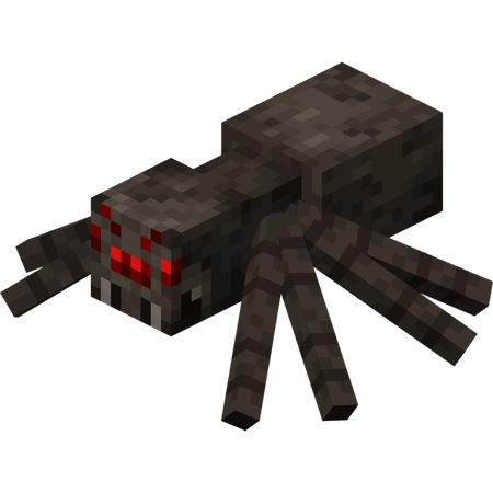 Spider